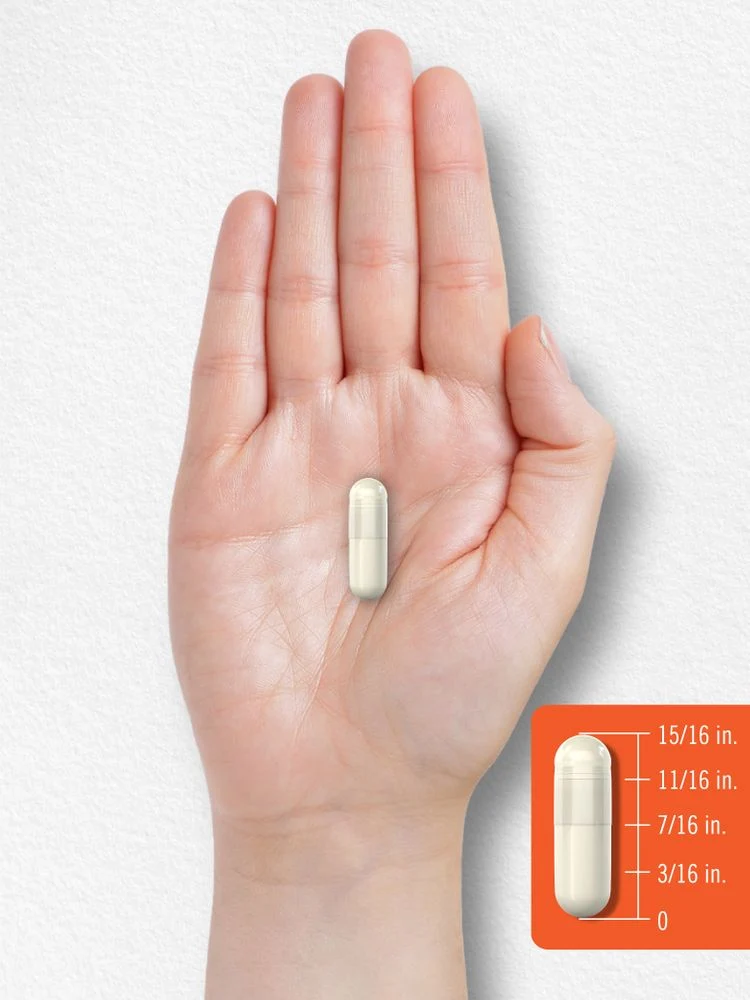 Prebiotic & Probiotic 25 Billion CFU per serving | 60 Capsules - Image 8