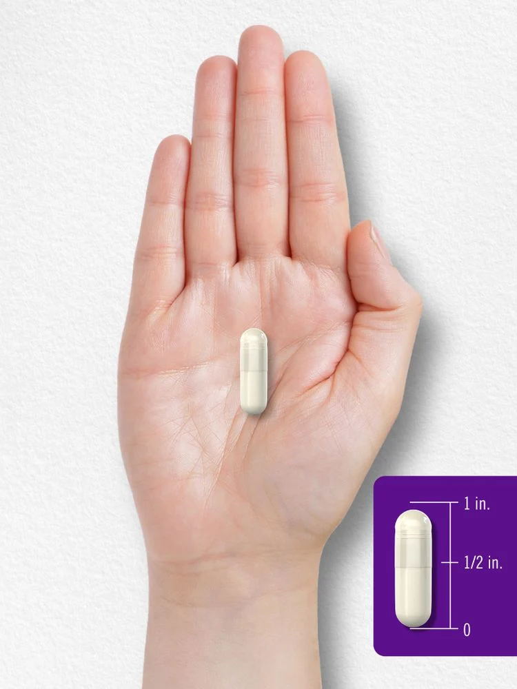 Prebiotic & Probiotic 50 Billion CFU per serving | 120 Capsules - Image 8