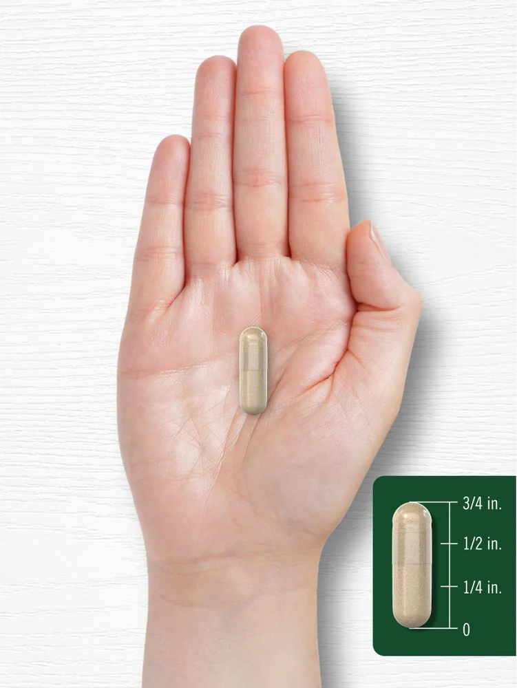 Prickly Pear 1950mg per serving | 180 Capsules - Image 7
