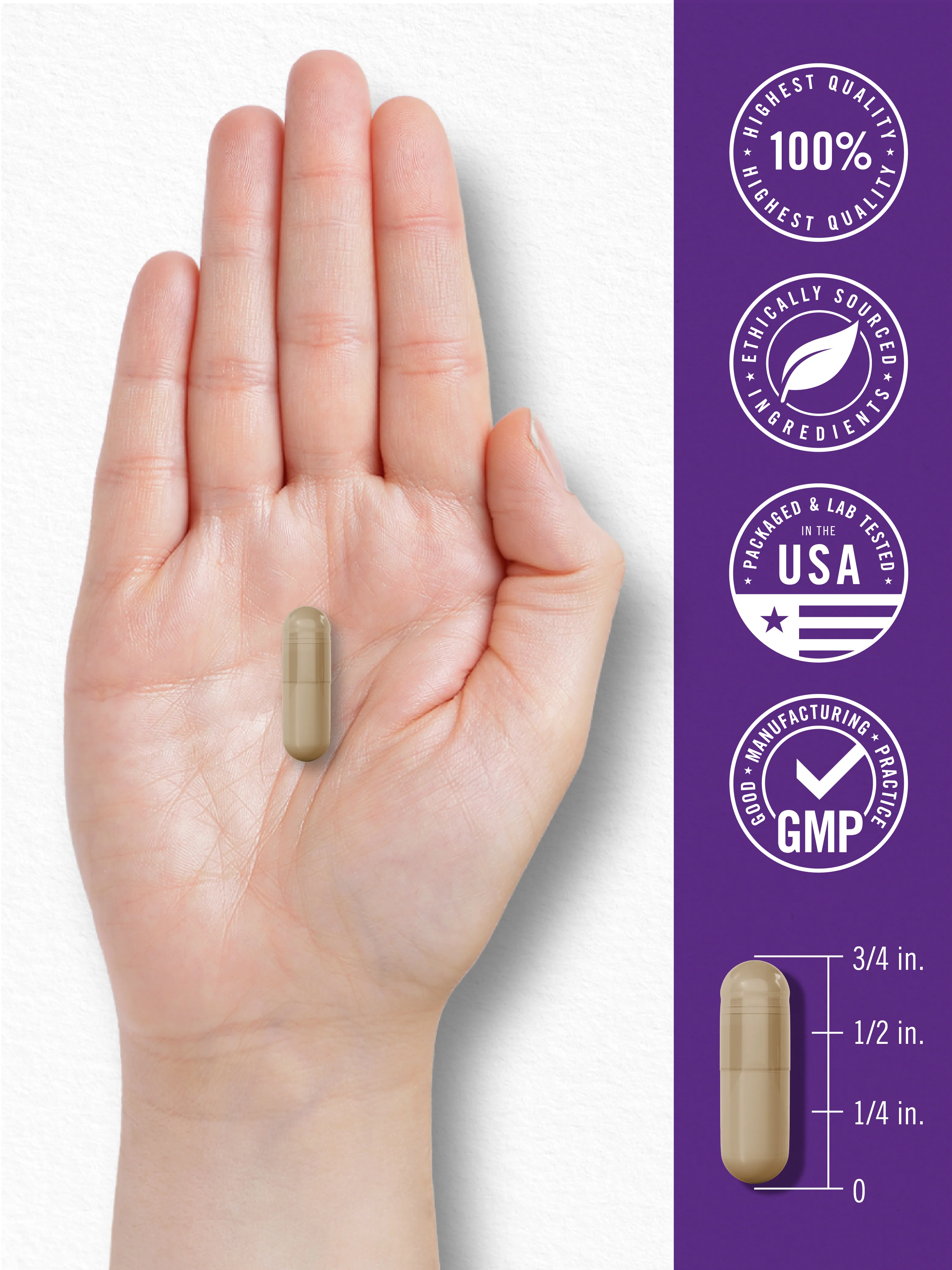 Probiotic Supplement | 15 Billion CFU | 30 Capsules - Image 7