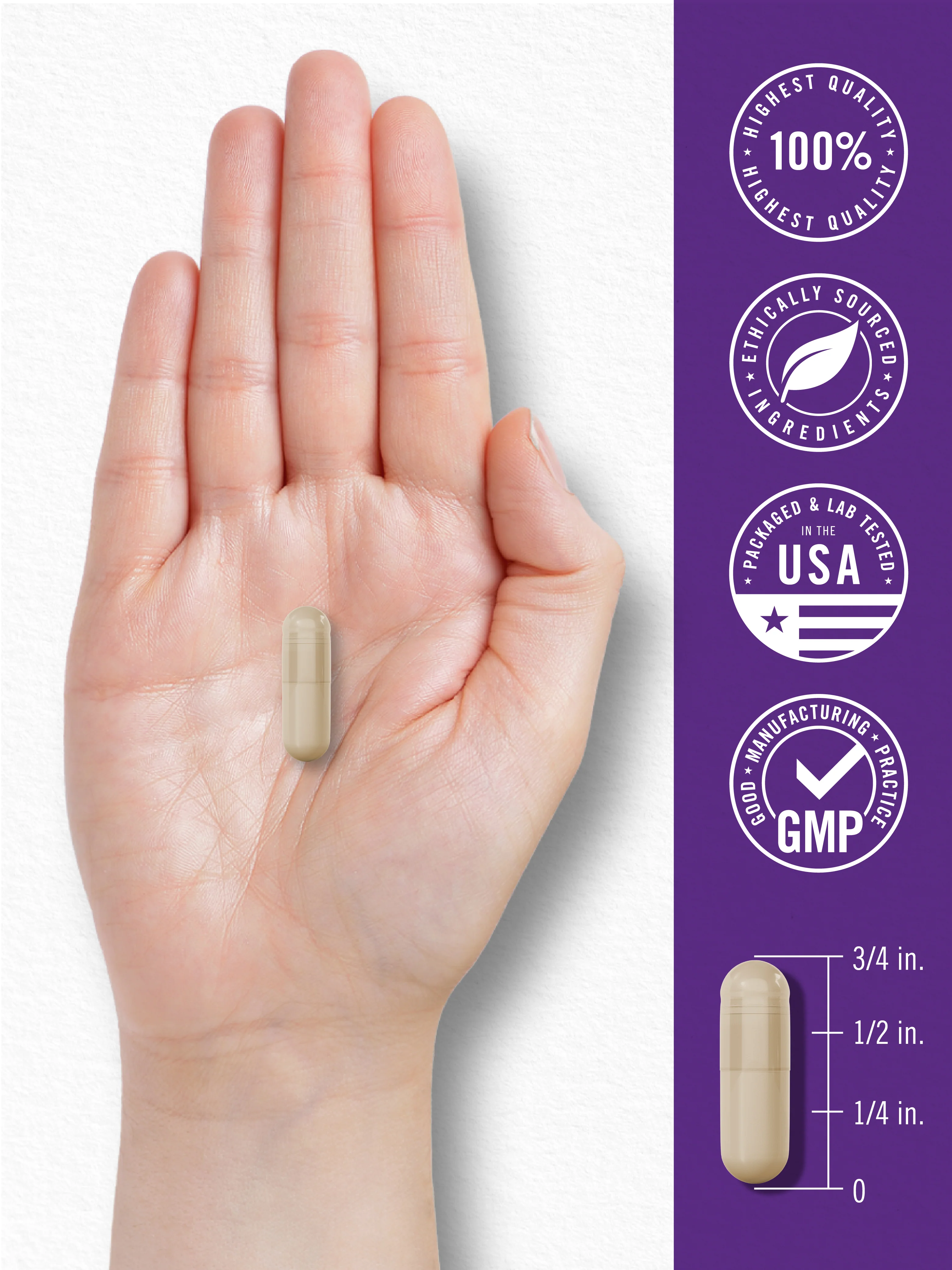 Probiotic with Prebiotics 150 Billion CFU | 30 Capsules - Image 7