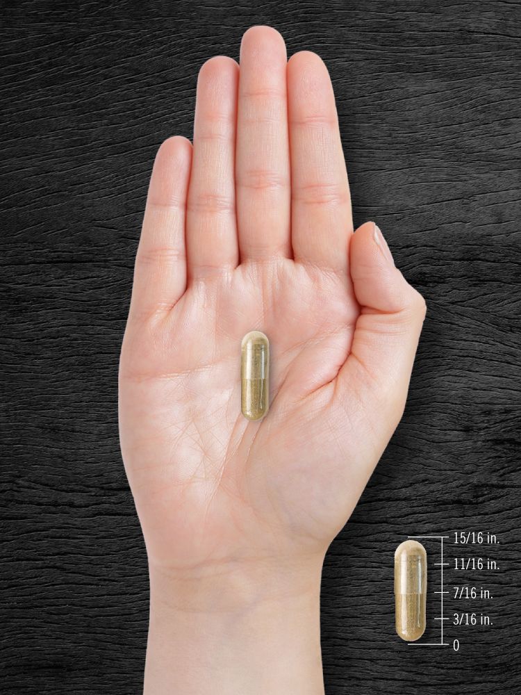 Pygeum Africanum Bark 4000mg | 200 Capsules - Image 7