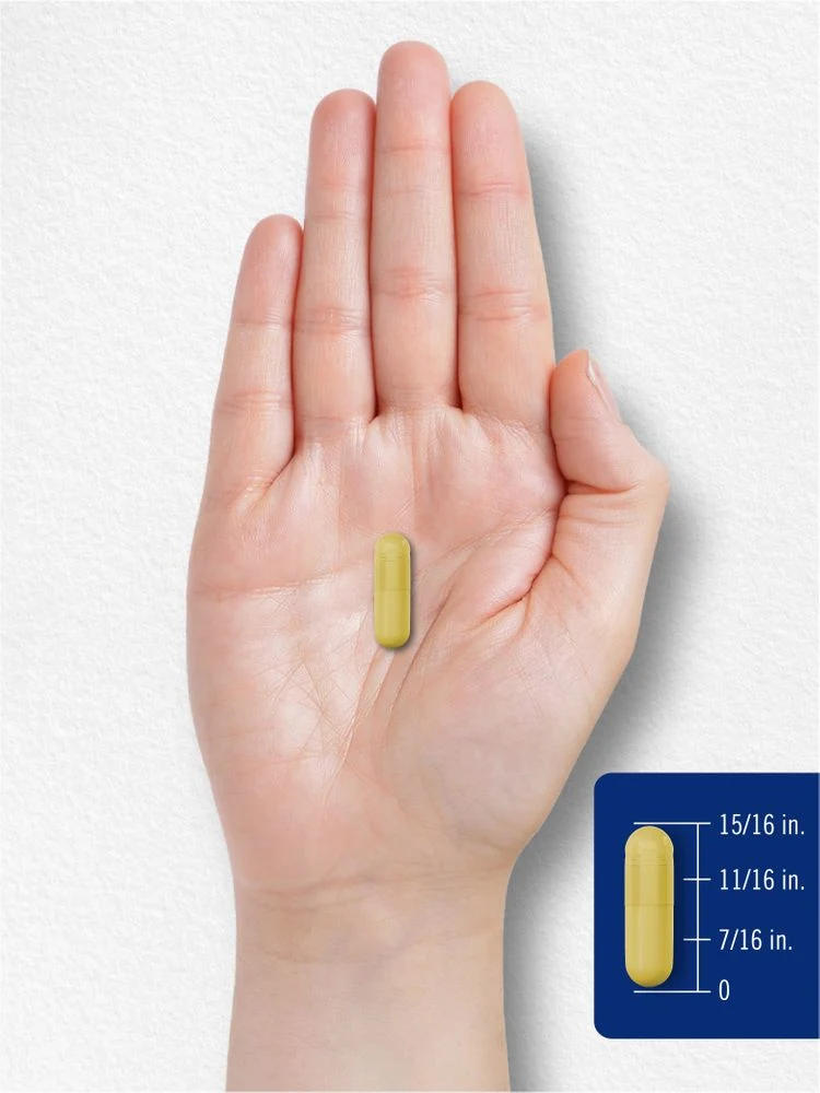 Quercetin 500mg | 100 Capsules - Image 8
