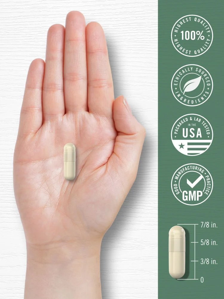 Red Marine Algae 1600mg per serving | 200 Capsules - Image 6