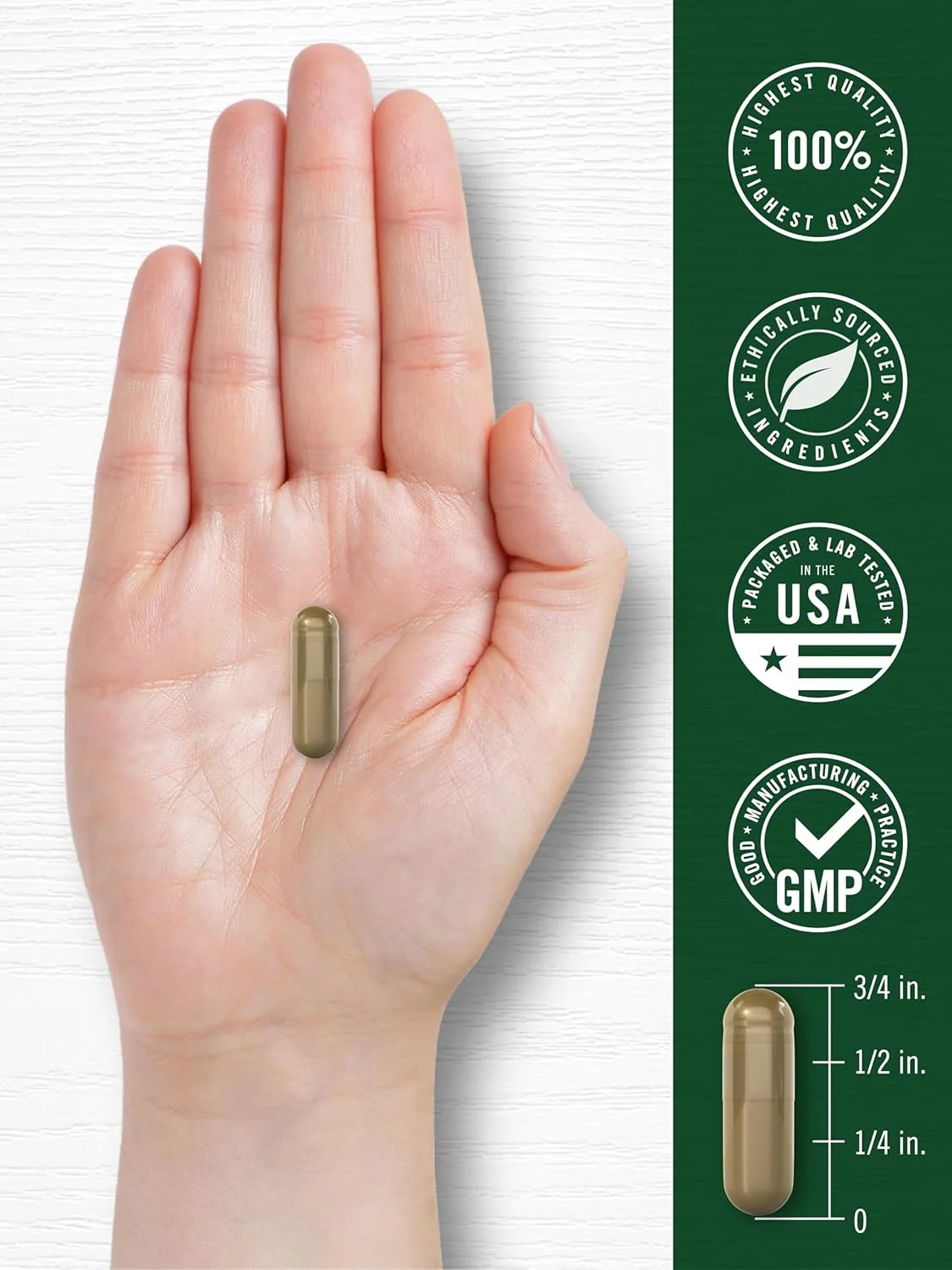 Sweet Wormwood Supplement | 200 Capsules - Image 7