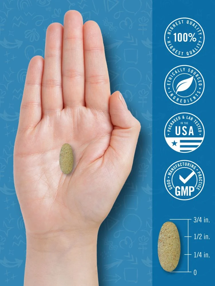 Teen Multivitamin for Boys | 60 Caplets - Image 7