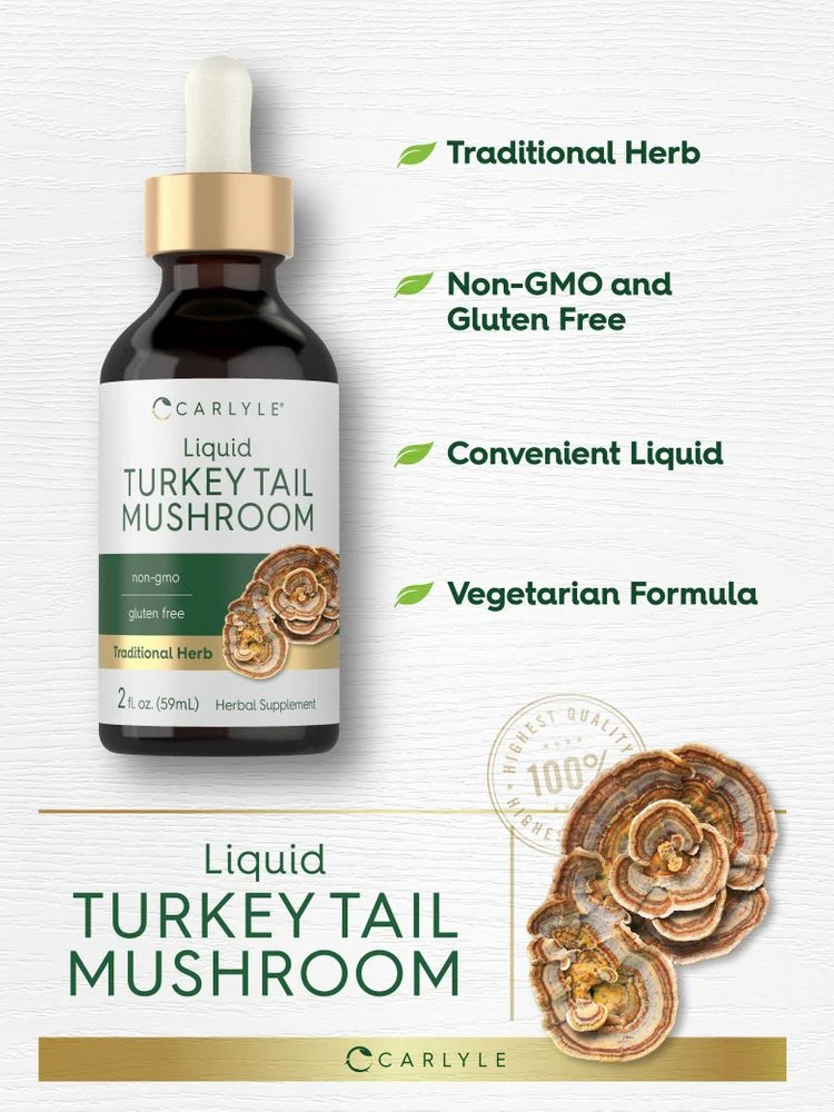 Turkey Tail Mushroom | 2oz Liquid - Image 4