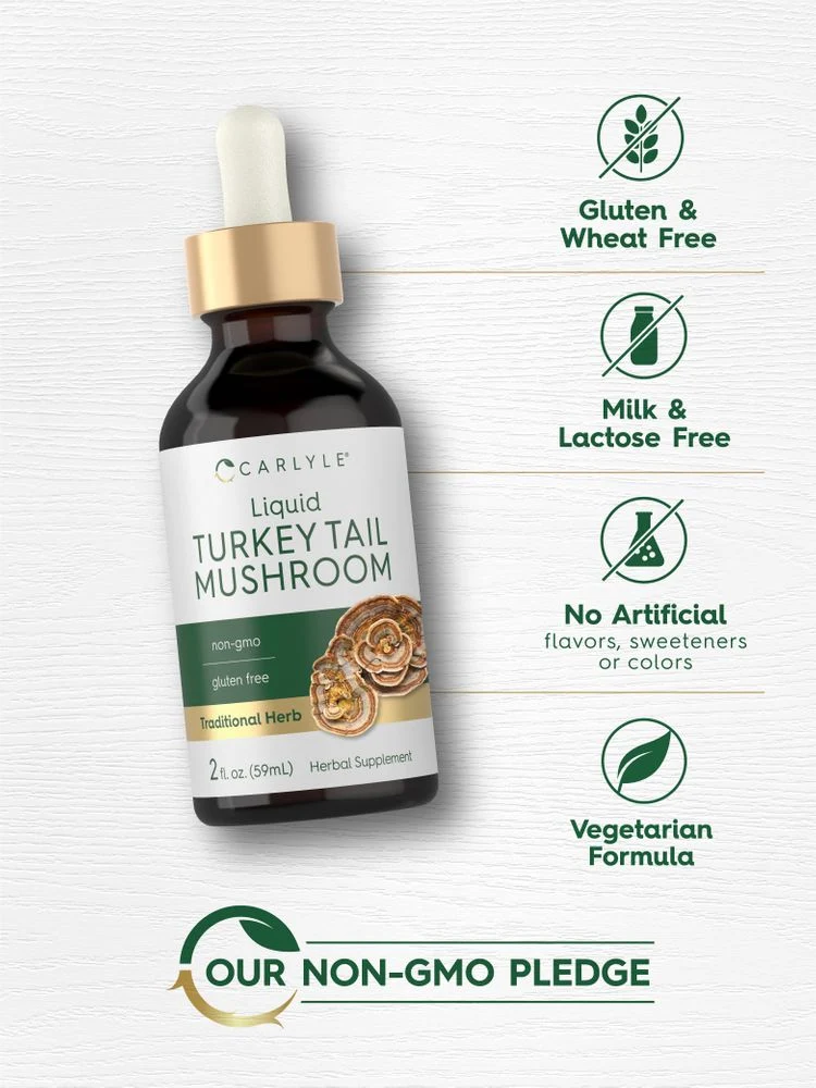 Turkey Tail Mushroom | 2oz Liquid - Image 5