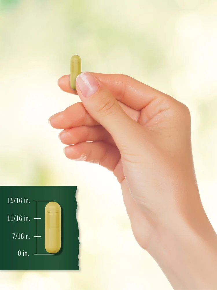 Turmeric Supplement | 150 Capsules - Image 8