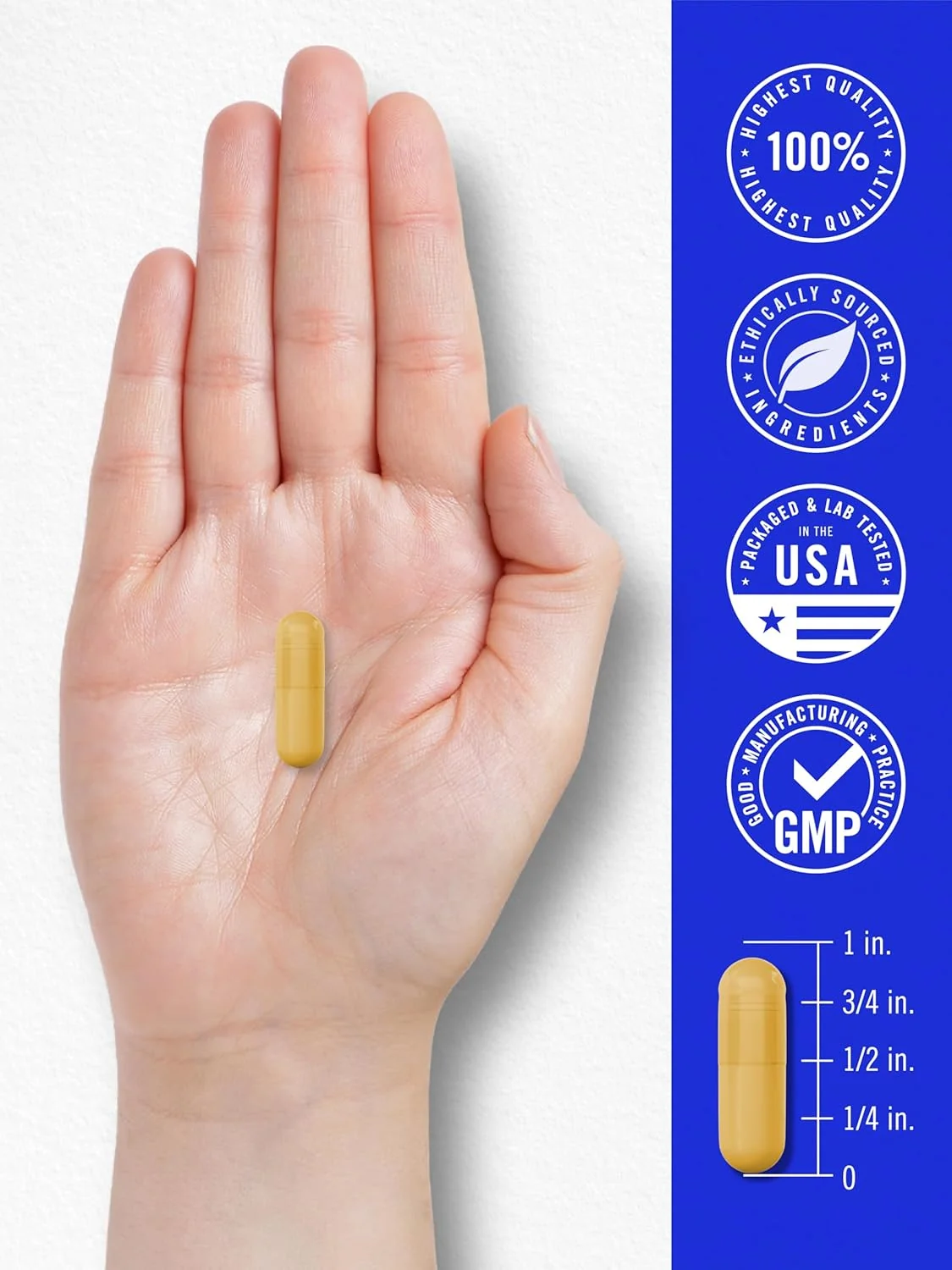 Vitamin B-100 Complex | 250 Capsules - Image 7