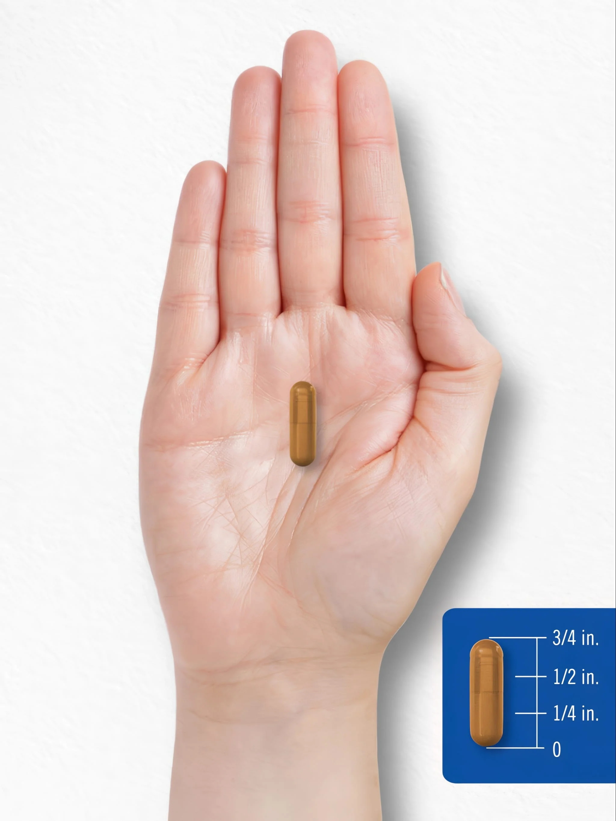 Vitamin B-2 200mg per serving | 150 Capsules - Image 8