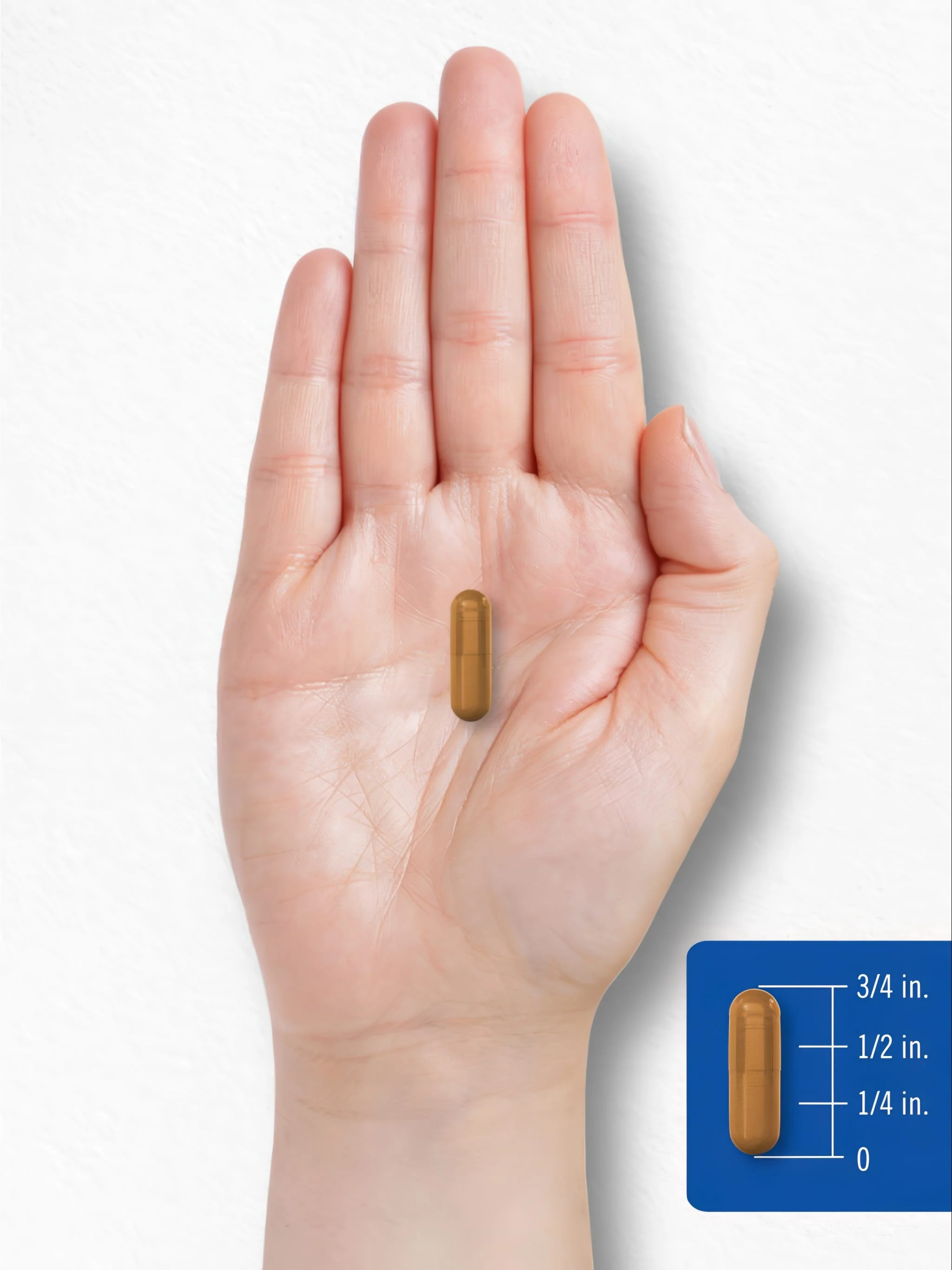 Vitamin B-2 400mg per serving | 180 Capsules - Image 8