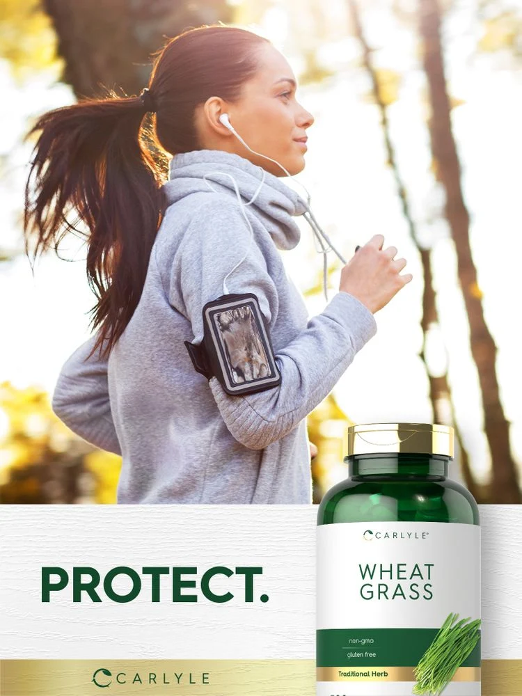 Wheat Grass | 500 Caplets - Image 6