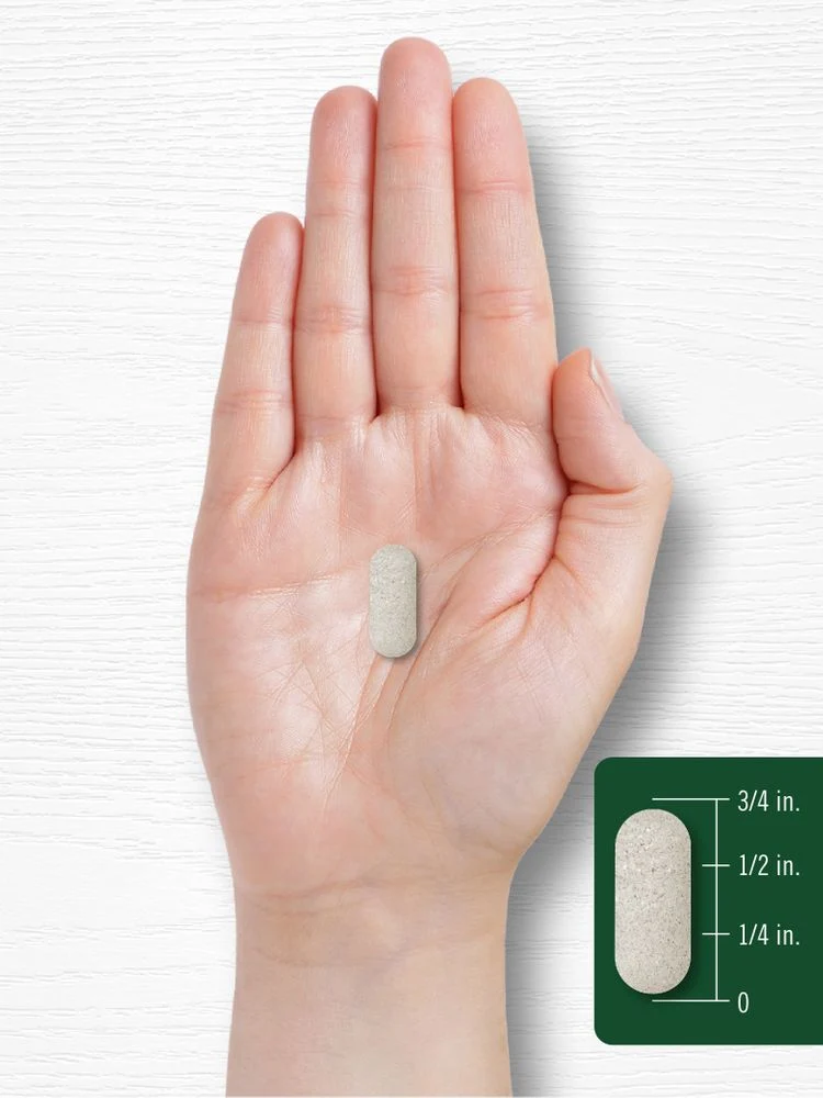 Wheat Grass | 500 Caplets - Image 7